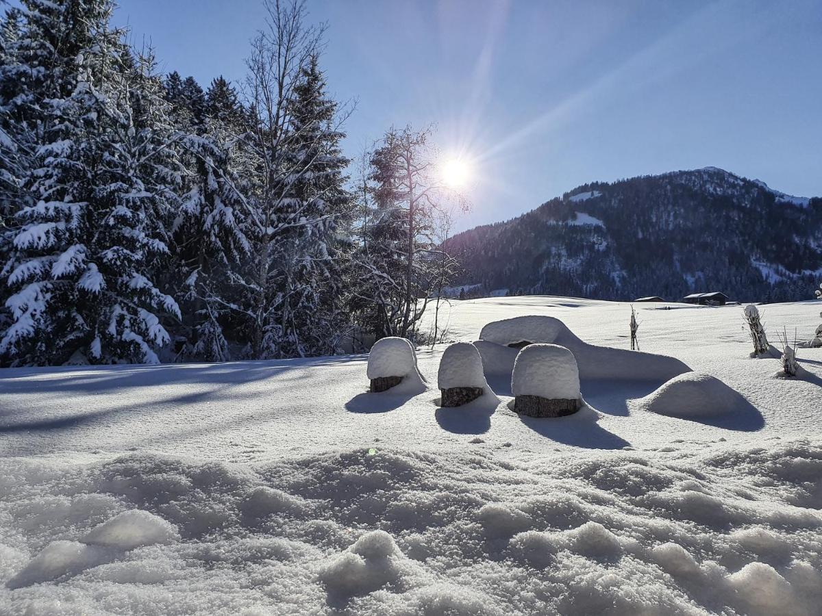 Zeitfrei Chalet Apartments Fieberbrunn Bagian luar foto